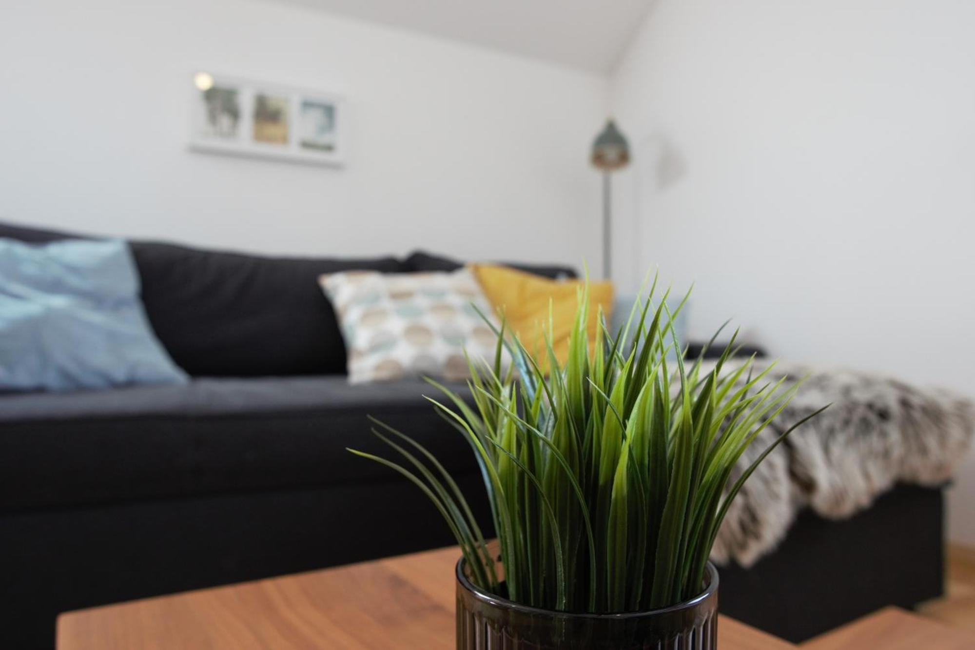Domen'S Cozy Rentals Крань Экстерьер фото