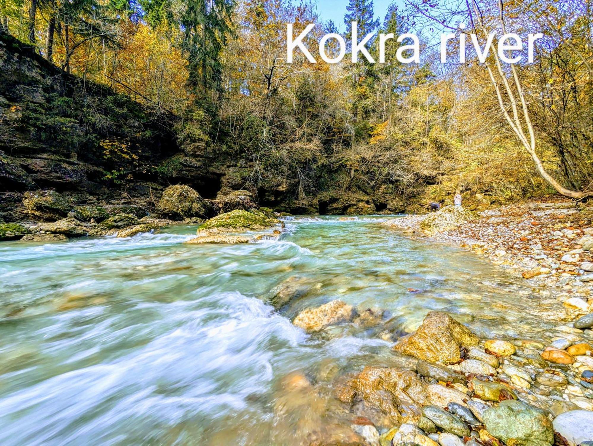 Domen'S Cozy Rentals Крань Экстерьер фото